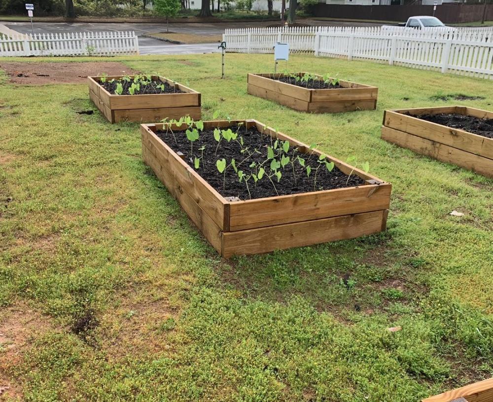 Community Garden | Monroe Georgia